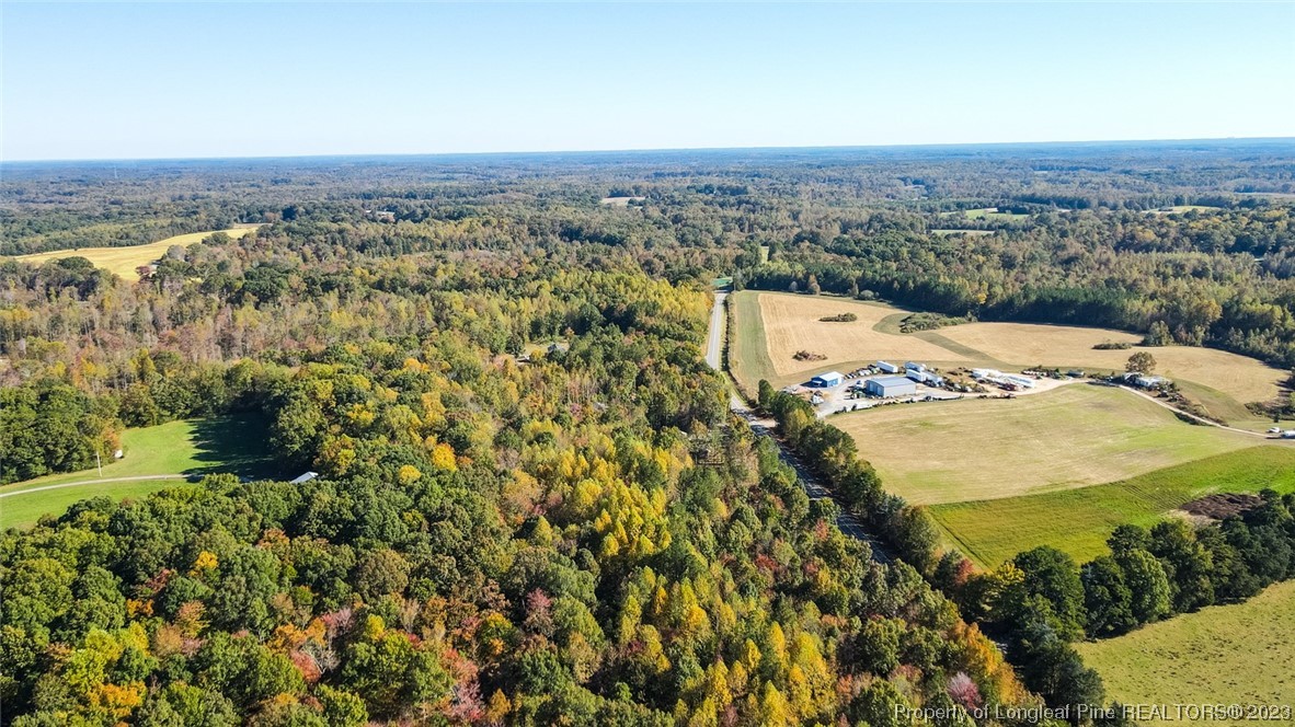 245 Cagle Road Seagrove, NC 27341 - Photo 10 of 24 a view of a city