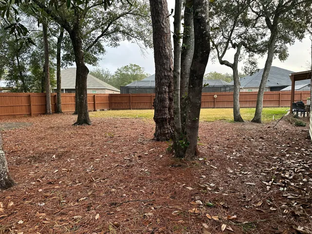 a view of a house with backyard and a tree
