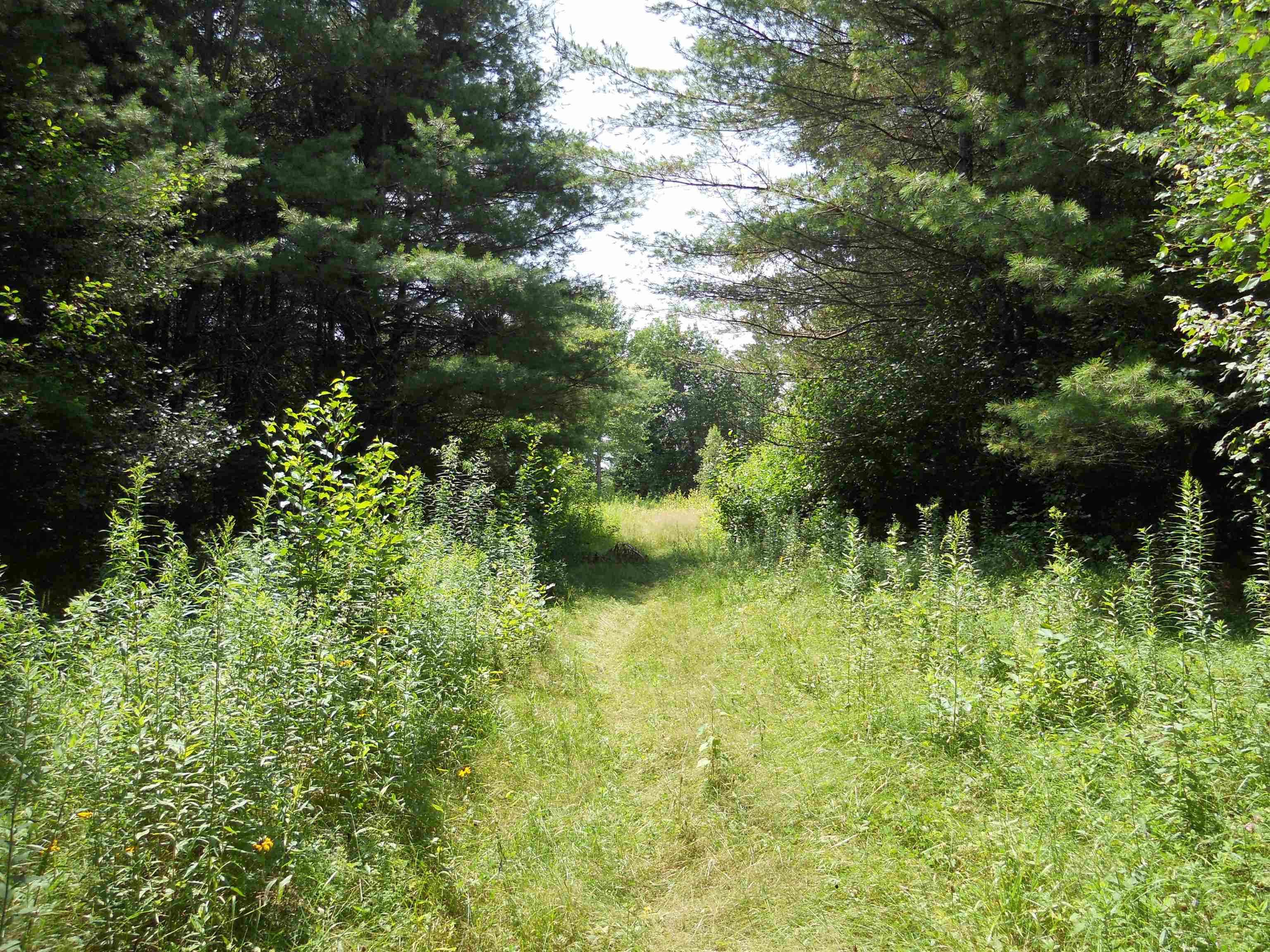 45 Huntoon Brick Farm Road Newport, NH 03773 - Photo 3 of 10 Gallery Image 3