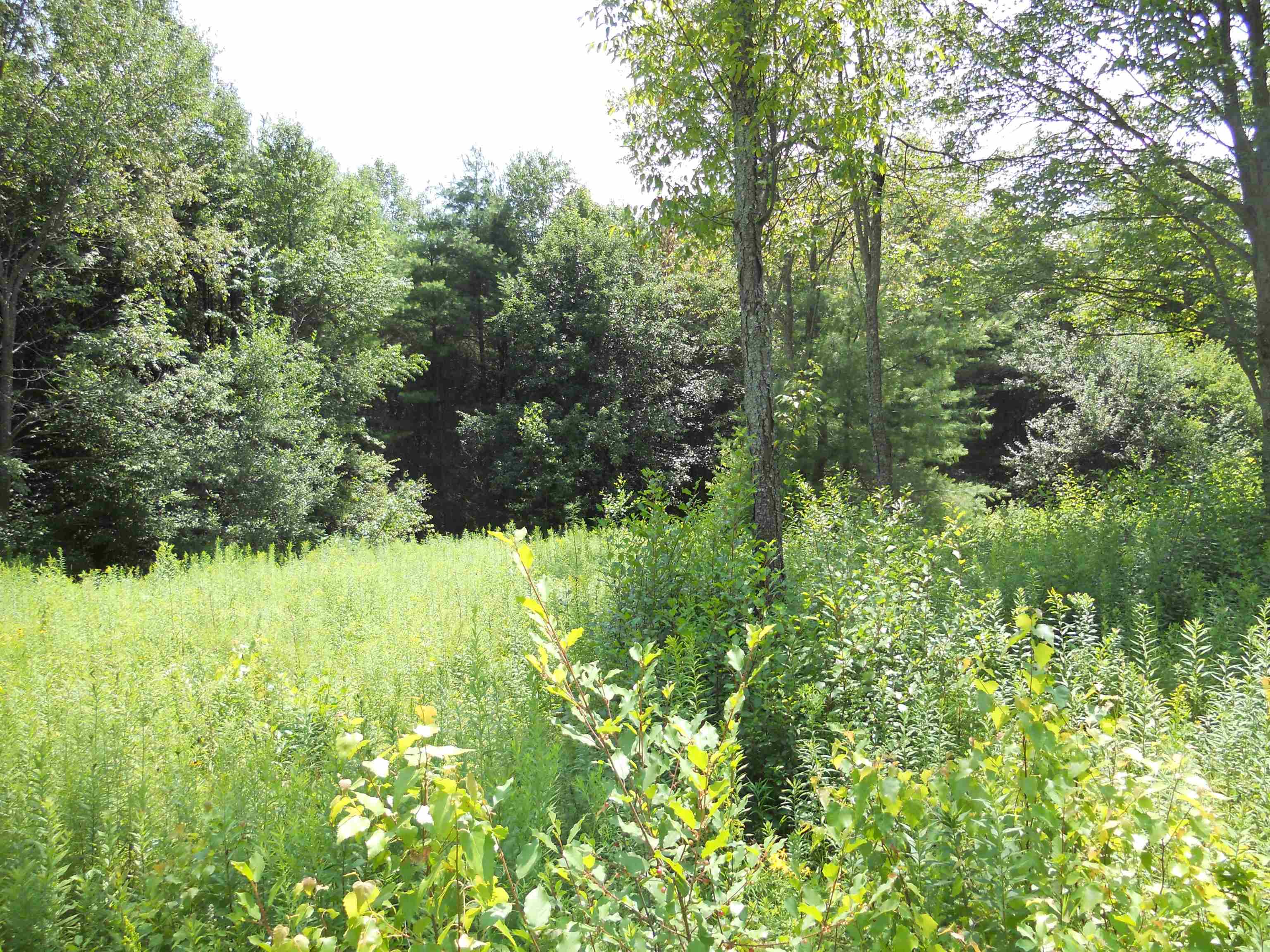 45 Huntoon Brick Farm Road Newport, NH 03773 - Photo 4 of 10 Gallery Image 4