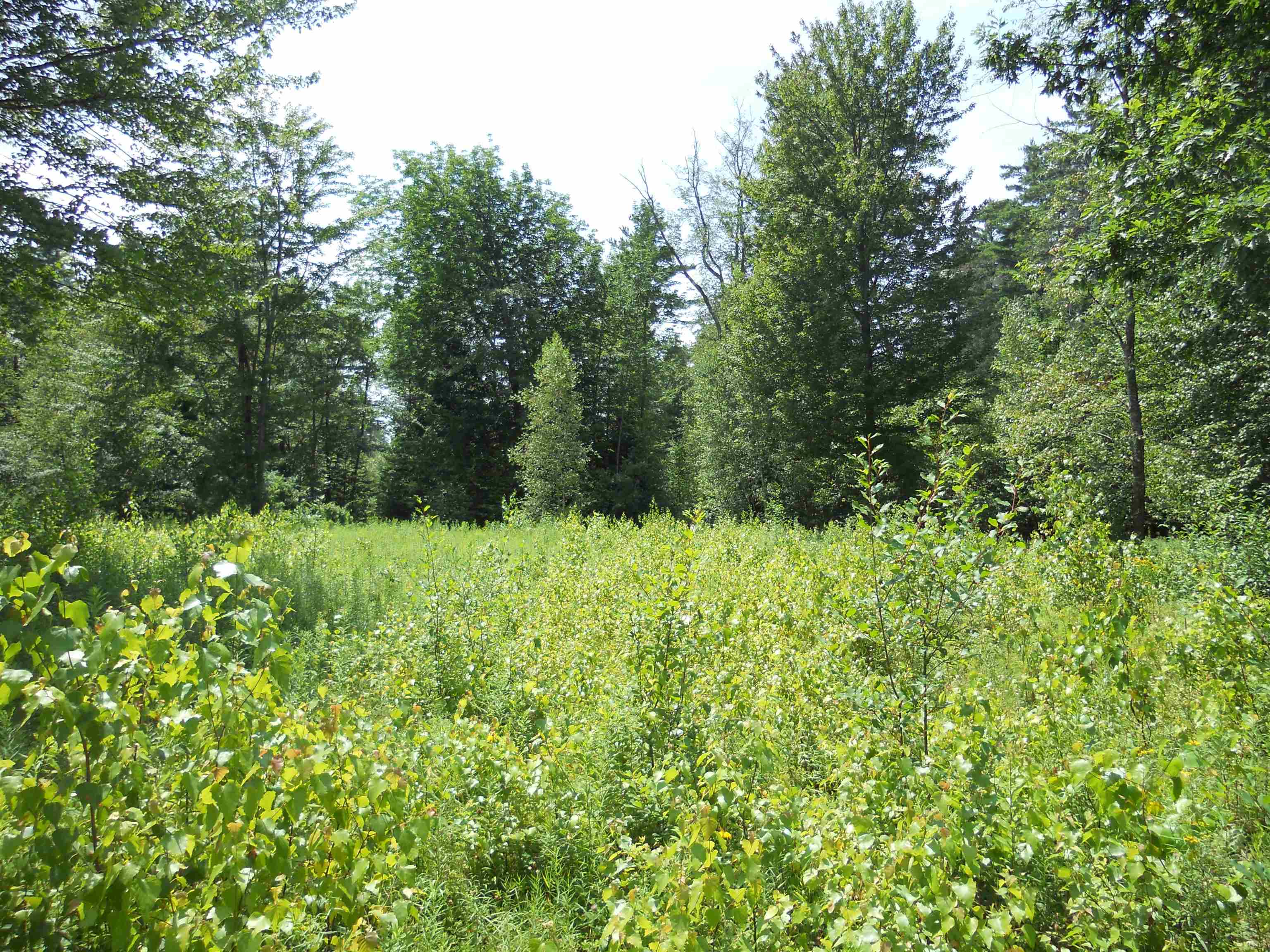 45 Huntoon Brick Farm Road Newport, NH 03773 - Photo 5 of 10 Gallery Image 5