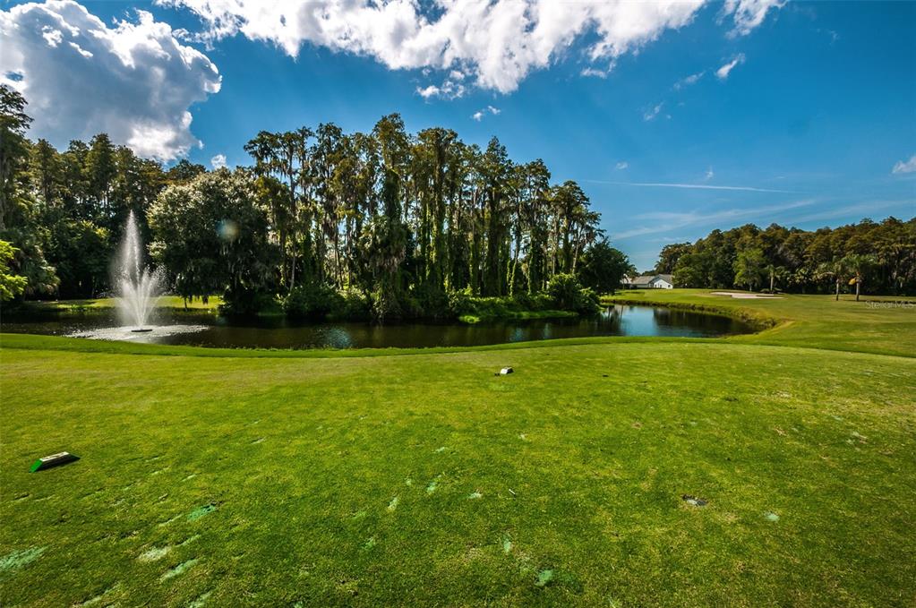3819 Teeside Drive New Port Richey, FL 34655 - Photo 57 of 58