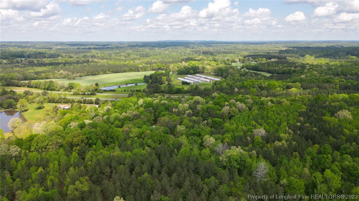 Santek Road Staley, NC 27355 - Photo 11 of 50 Gallery Image 11