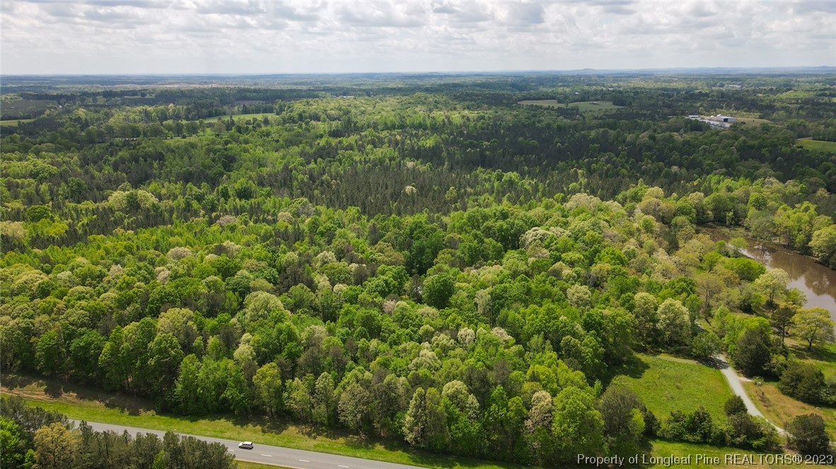 Santek Road Staley, NC 27355 - Photo 14 of 50 Gallery Image 14
