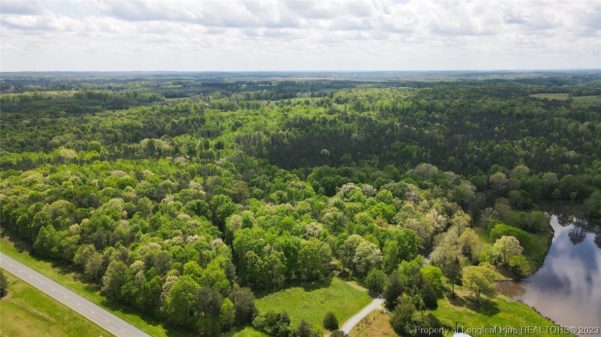 Santek Road Staley, NC 27355 - Photo 15 of 50 Gallery Image 15