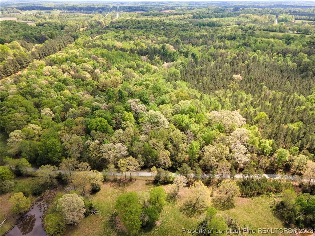 Santek Road Staley, NC 27355 - Photo 18 of 50 Gallery Image 18
