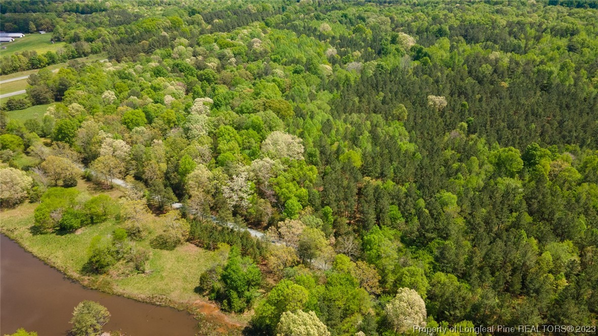 Santek Road Staley, NC 27355 - Photo 21 of 50 Gallery Image 21