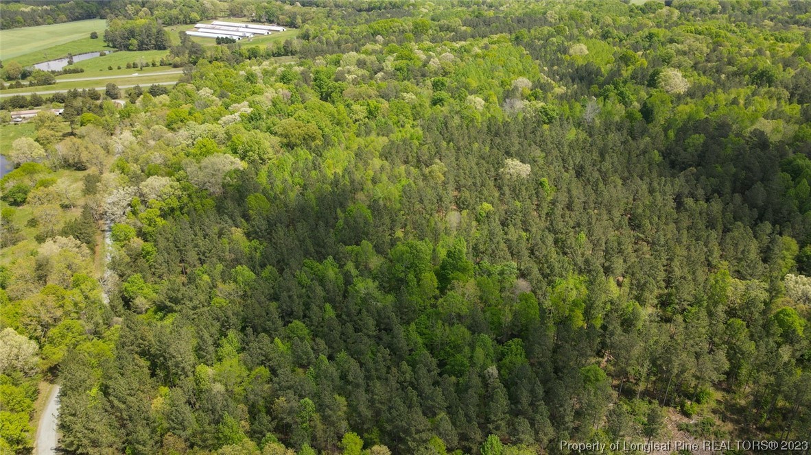 Santek Road Staley, NC 27355 - Photo 23 of 50 Gallery Image 23