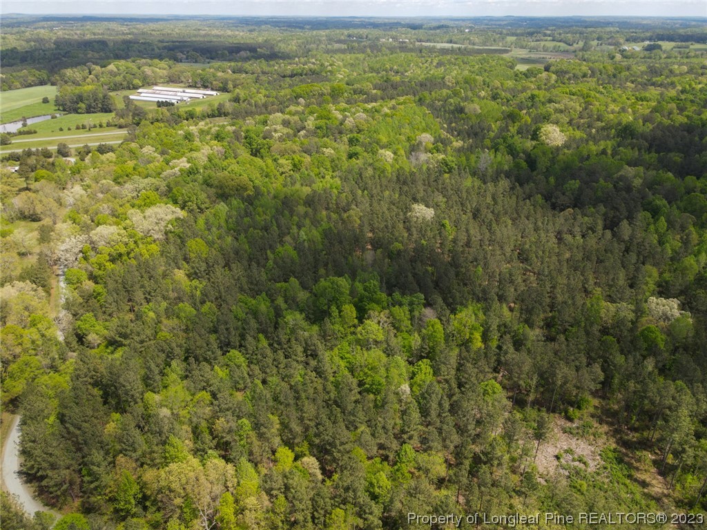 Santek Road Staley, NC 27355 - Photo 24 of 50 Gallery Image 24