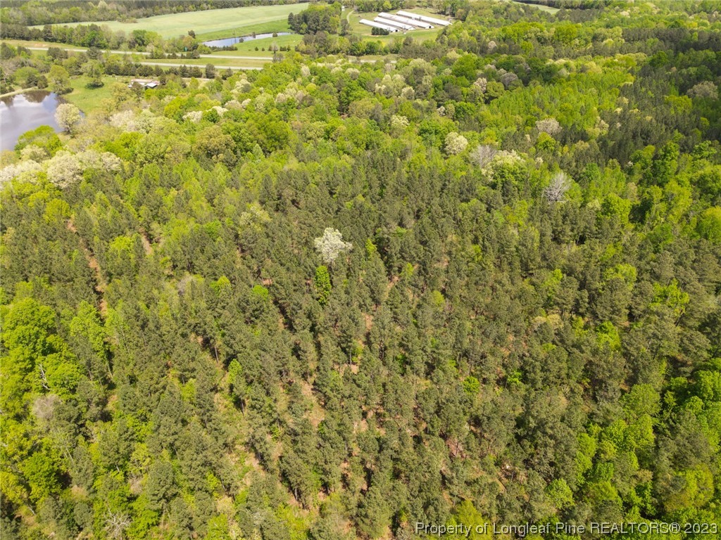 Santek Road Staley, NC 27355 - Photo 26 of 50 Gallery Image 26