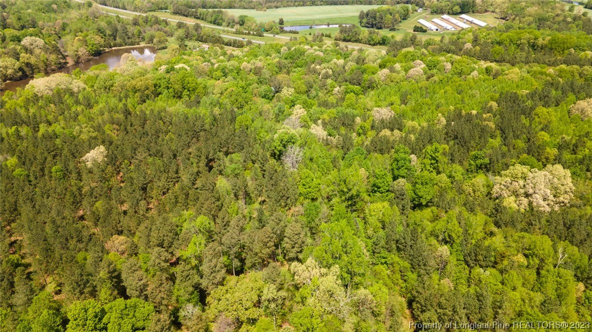 Santek Road Staley, NC 27355 - Photo 28 of 50 Gallery Image 28
