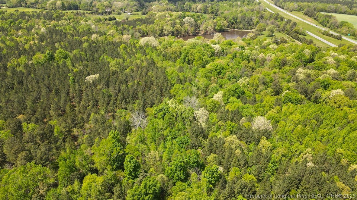 Santek Road Staley, NC 27355 - Photo 29 of 50 Gallery Image 29
