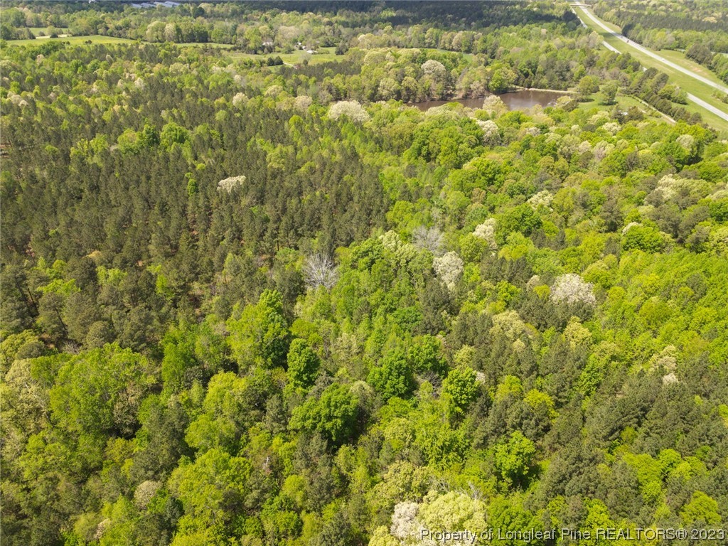Santek Road Staley, NC 27355 - Photo 30 of 50 Gallery Image 30
