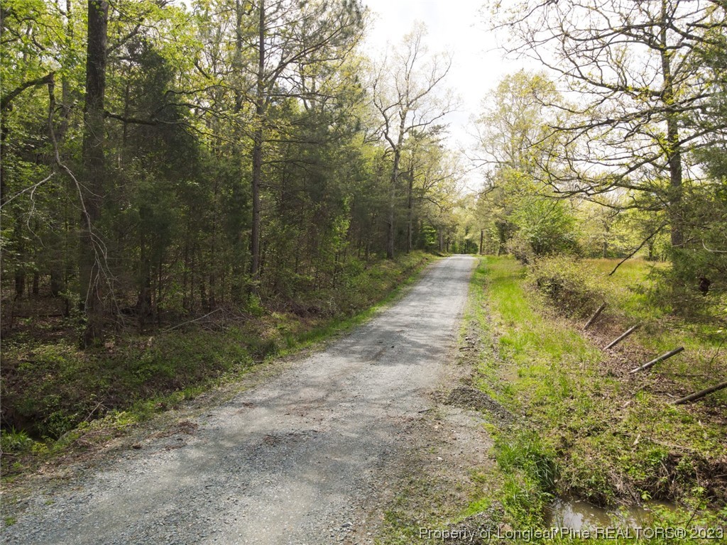 Santek Road Staley, NC 27355 - Photo 3 of 50 Gallery Image 3