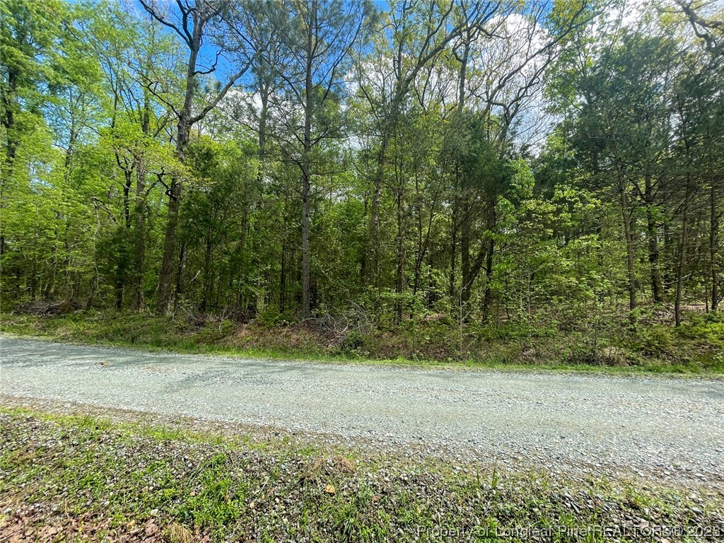 Santek Road Staley, NC 27355 - Photo 36 of 50 Gallery Image 36