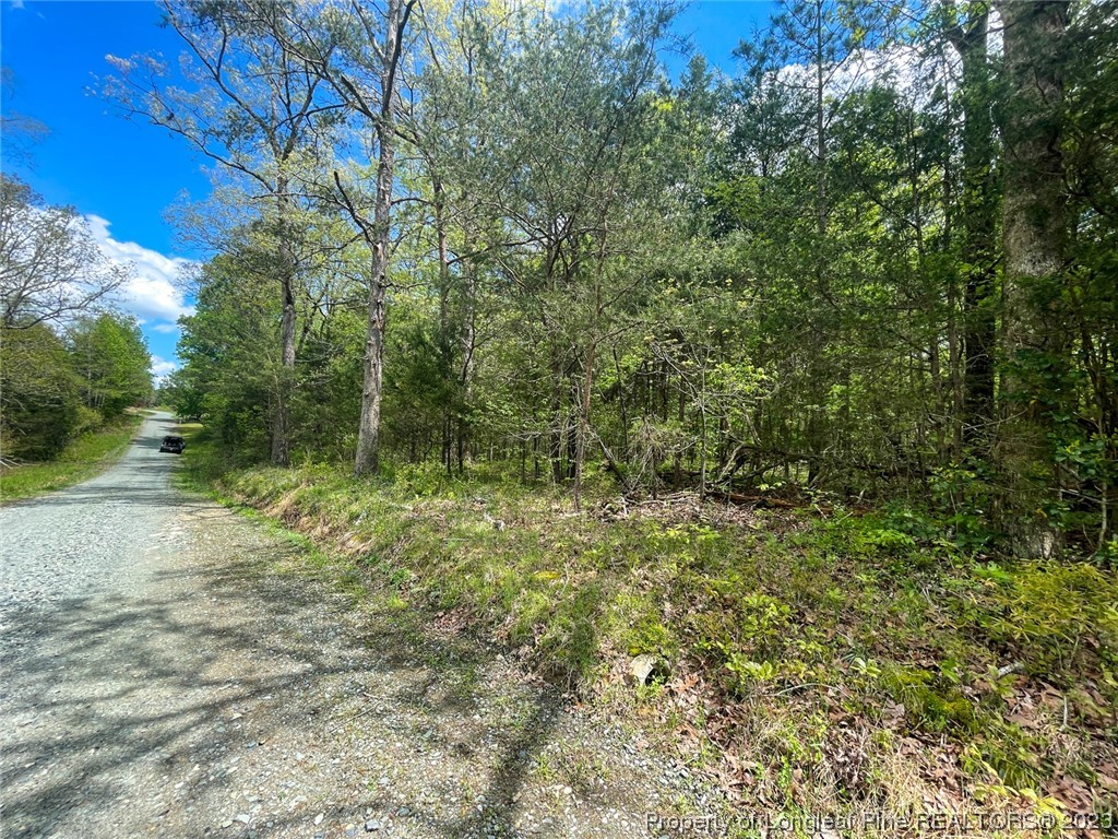 Santek Road Staley, NC 27355 - Photo 38 of 50 Gallery Image 38