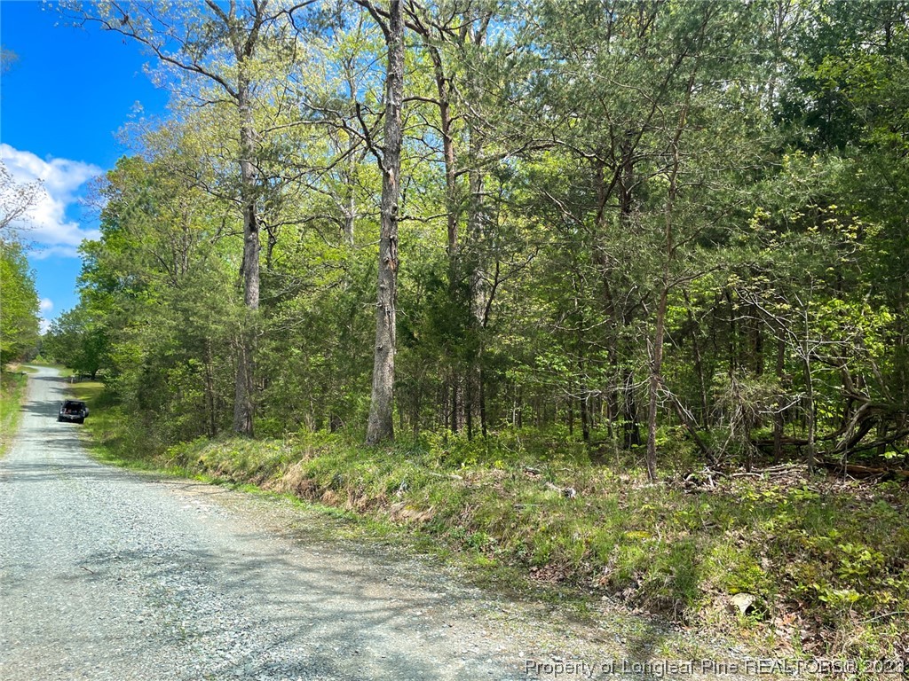 Santek Road Staley, NC 27355 - Photo 39 of 50 Gallery Image 39