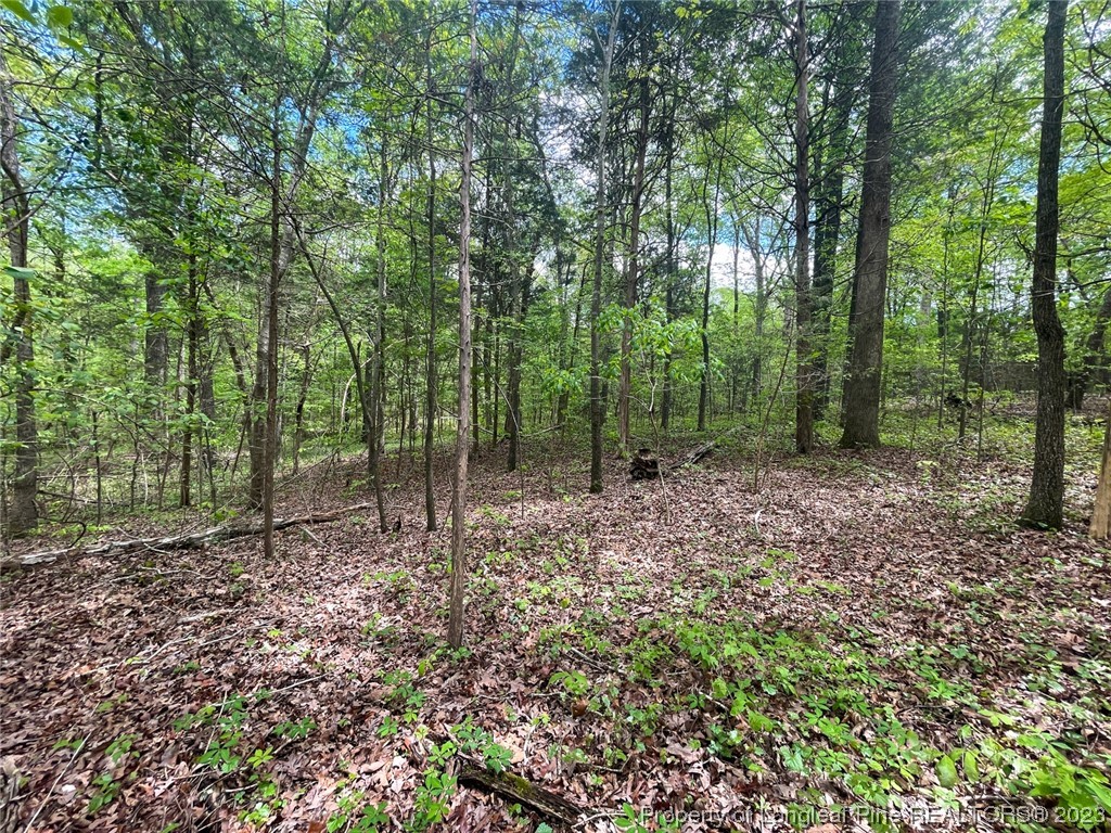 Santek Road Staley, NC 27355 - Photo 45 of 50 Gallery Image 45