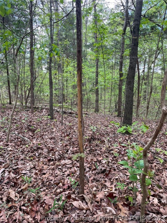 Santek Road Staley, NC 27355 - Photo 50 of 50 Gallery Image 50