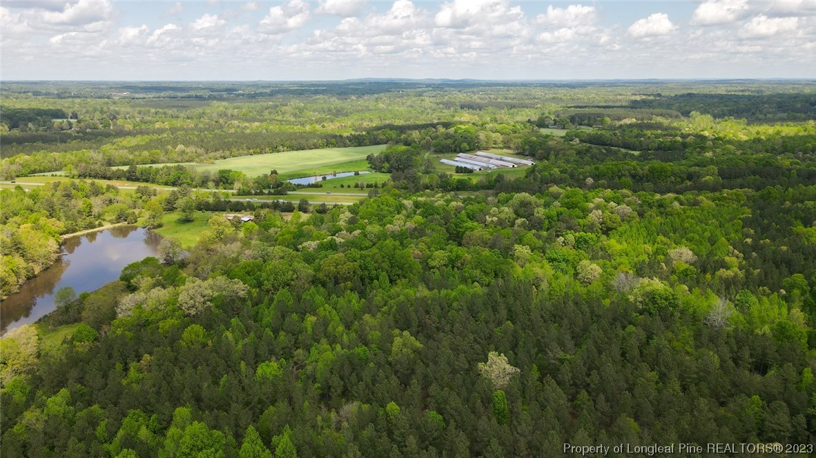 Santek Road Staley, NC 27355 - Photo 10 of 50 Gallery Image 10