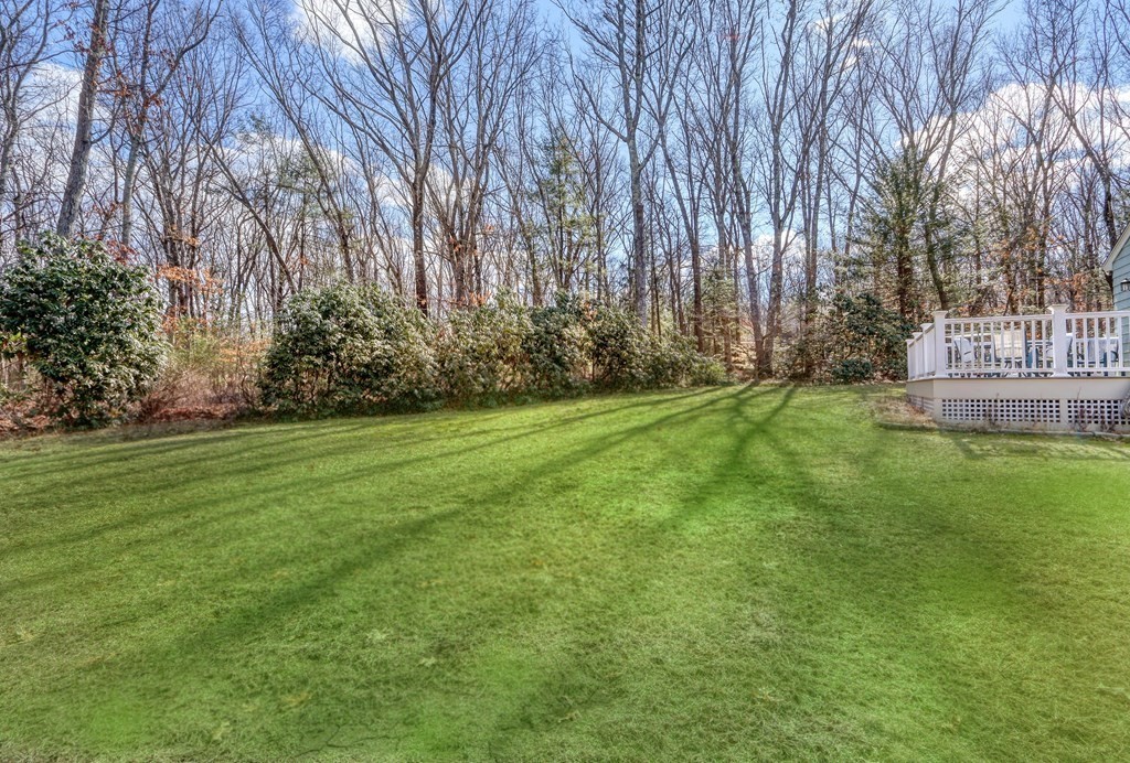 12 Deer Run Road Lincoln, MA 01773 - Photo 28 of 30