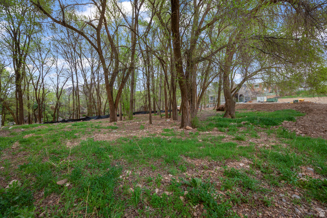 1544 East 1200 S Street Springville, UT 84663 - Photo 15 of 21 View of yard