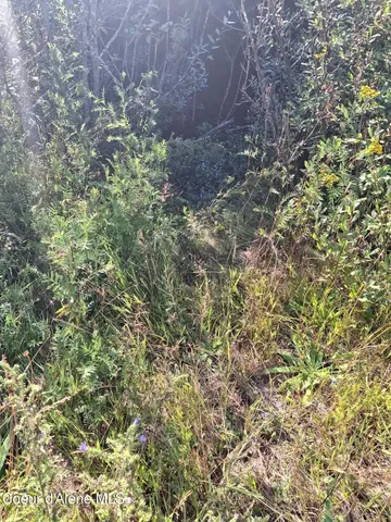 $525,000 | Nka Beaver Creek Road, Wallace, ID 83873