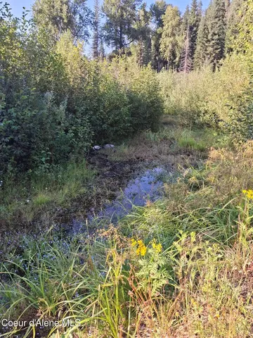 $525,000 | Nka Beaver Creek Road, Wallace, ID 83873