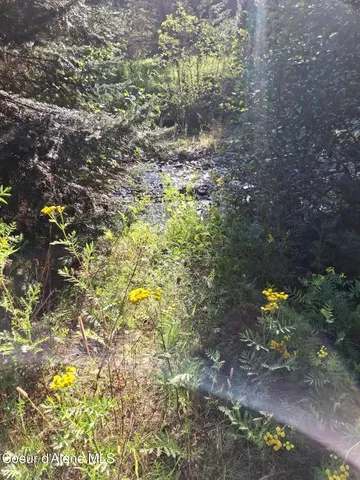 $525,000 | Nka Beaver Creek Road, Wallace, ID 83873