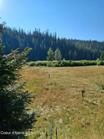 $525,000 | Nka Beaver Creek Road, Wallace, ID 83873