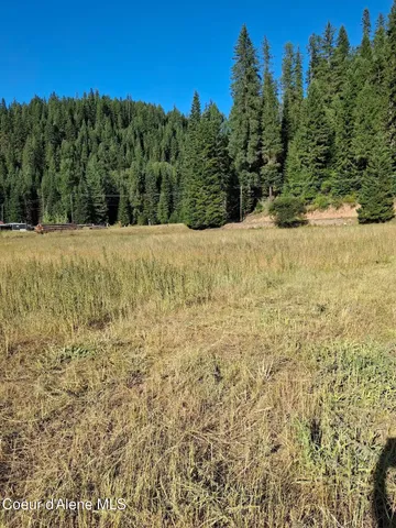 $525,000 | Nka Beaver Creek Road, Wallace, ID 83873