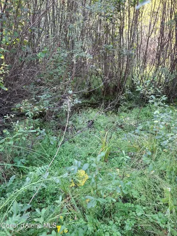 $525,000 | Nka Beaver Creek Road, Wallace, ID 83873