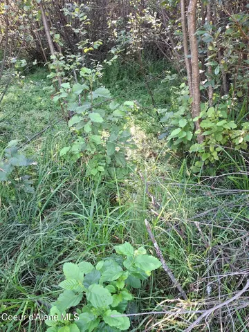 $525,000 | Nka Beaver Creek Road, Wallace, ID 83873