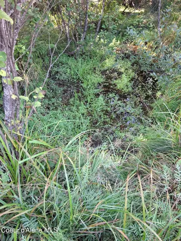 $525,000 | Nka Beaver Creek Road, Wallace, ID 83873