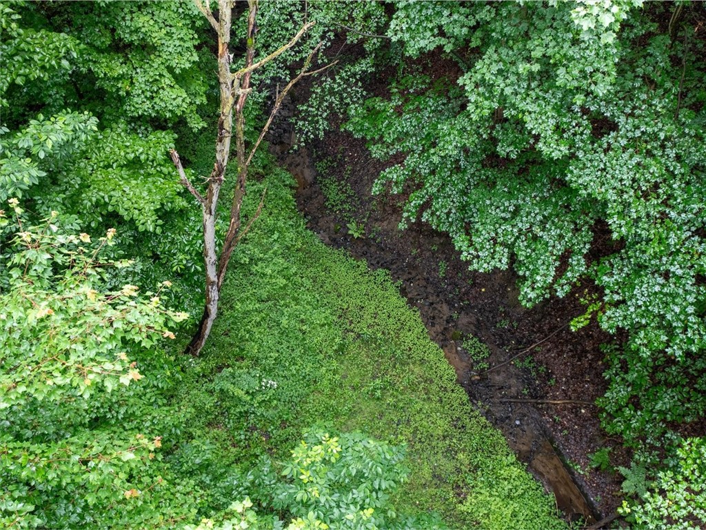 9107 Eelpot Road Naples, NY 14512 - Photo 18 of 20