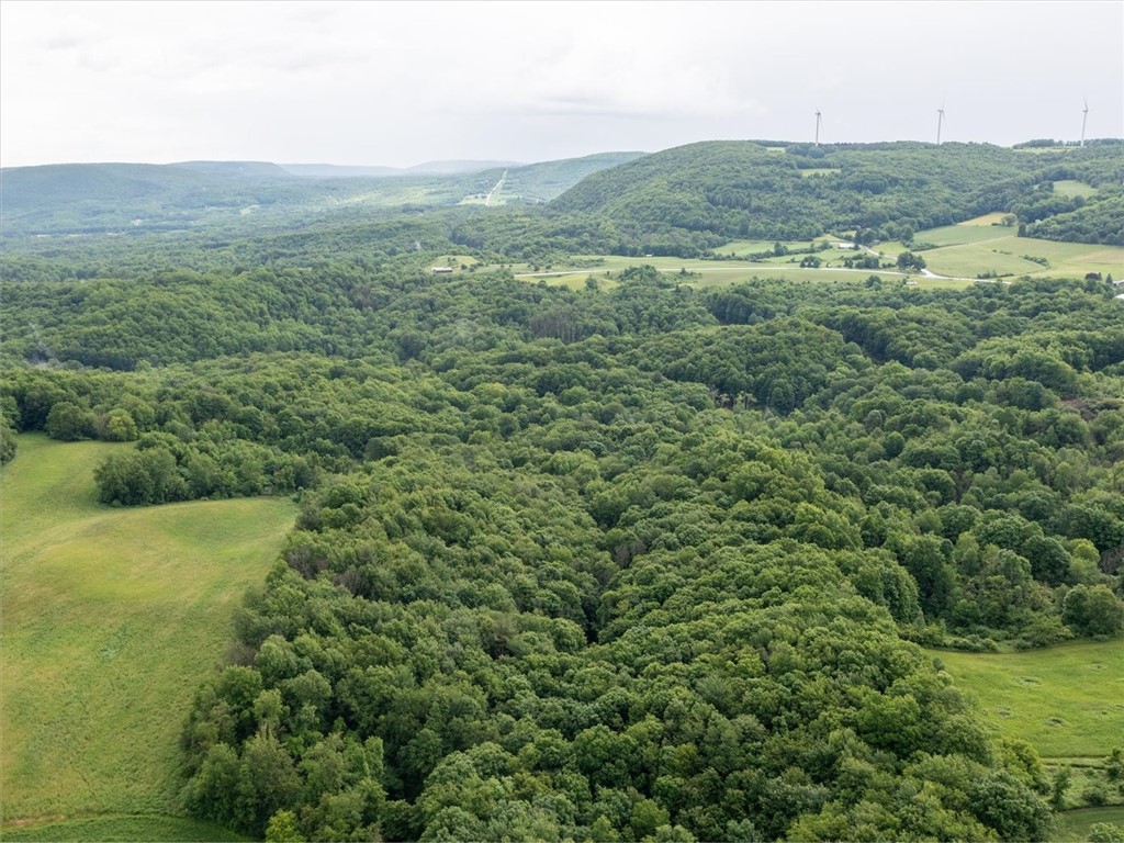 9107 Eelpot Road Naples, NY 14512 - Photo 4 of 20