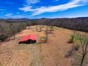 67 County Road 100 Decatur, TN 37322 - Photo 3 of 25 67-3