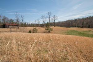 67 County Road 100 Decatur, TN 37322 - Photo 24 of 25 67-26