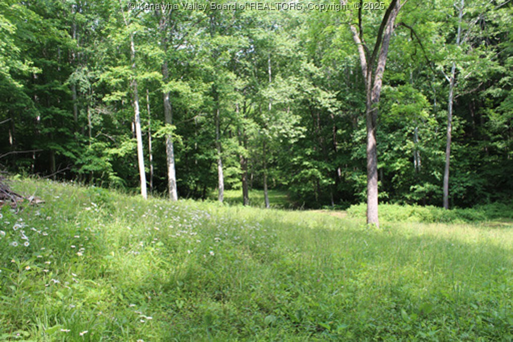 2801 Rock Creek Road Foster, WV 25081 - Photo 9 of 46 Gallery Image 9