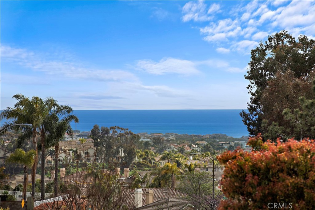 5 High Bluff Laguna Niguel, CA 92677 - Photo 27 of 64 Ocean View from Deck