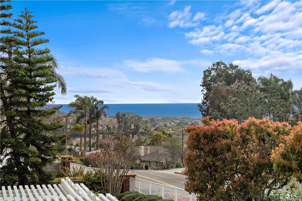 5 High Bluff Laguna Niguel, CA 92677 - Photo 29 of 64