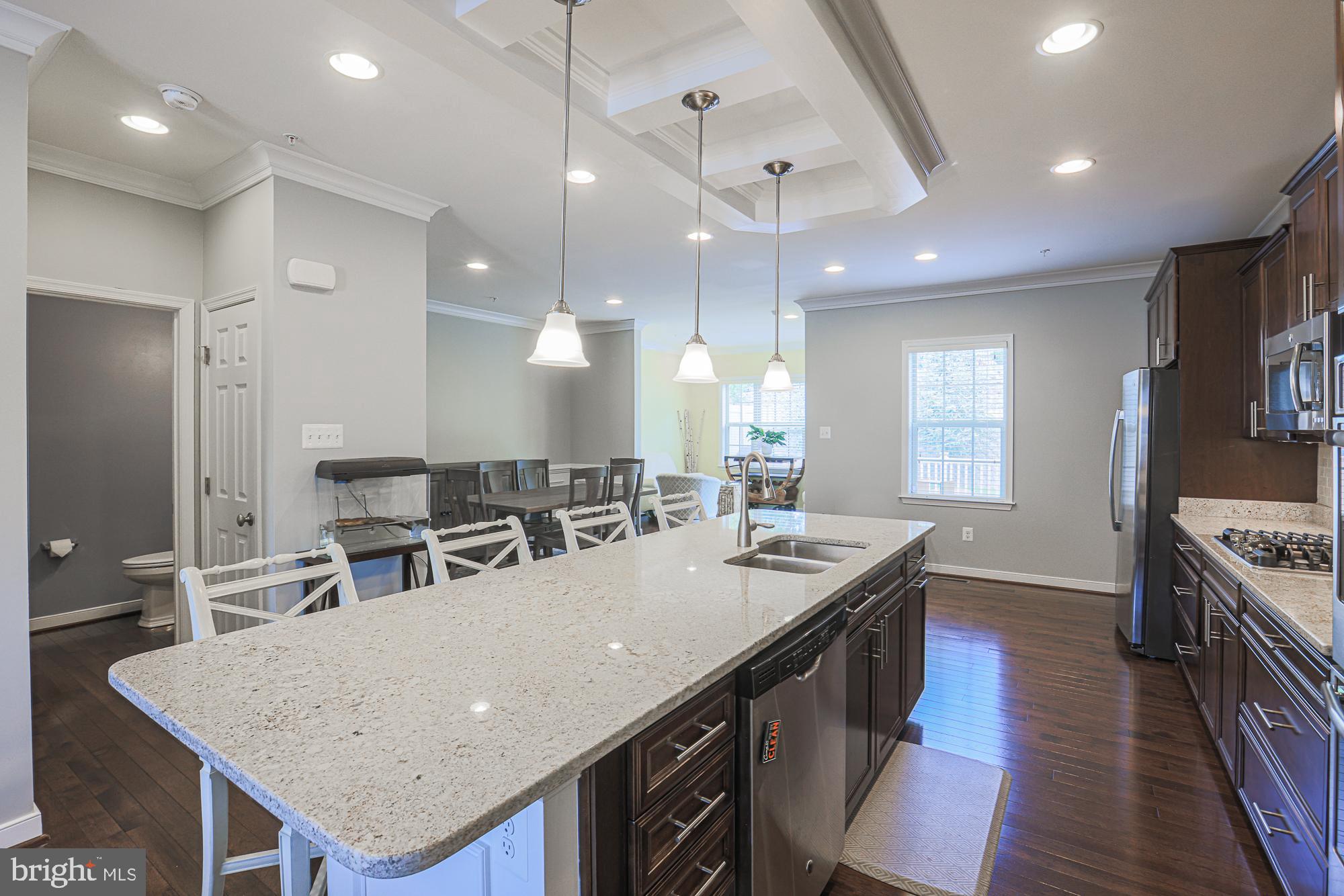 14034 Fox Hill Road Sparks Glencoe, MD 21152 - Photo 11 of 56 Coffered ceiling with pendant lights