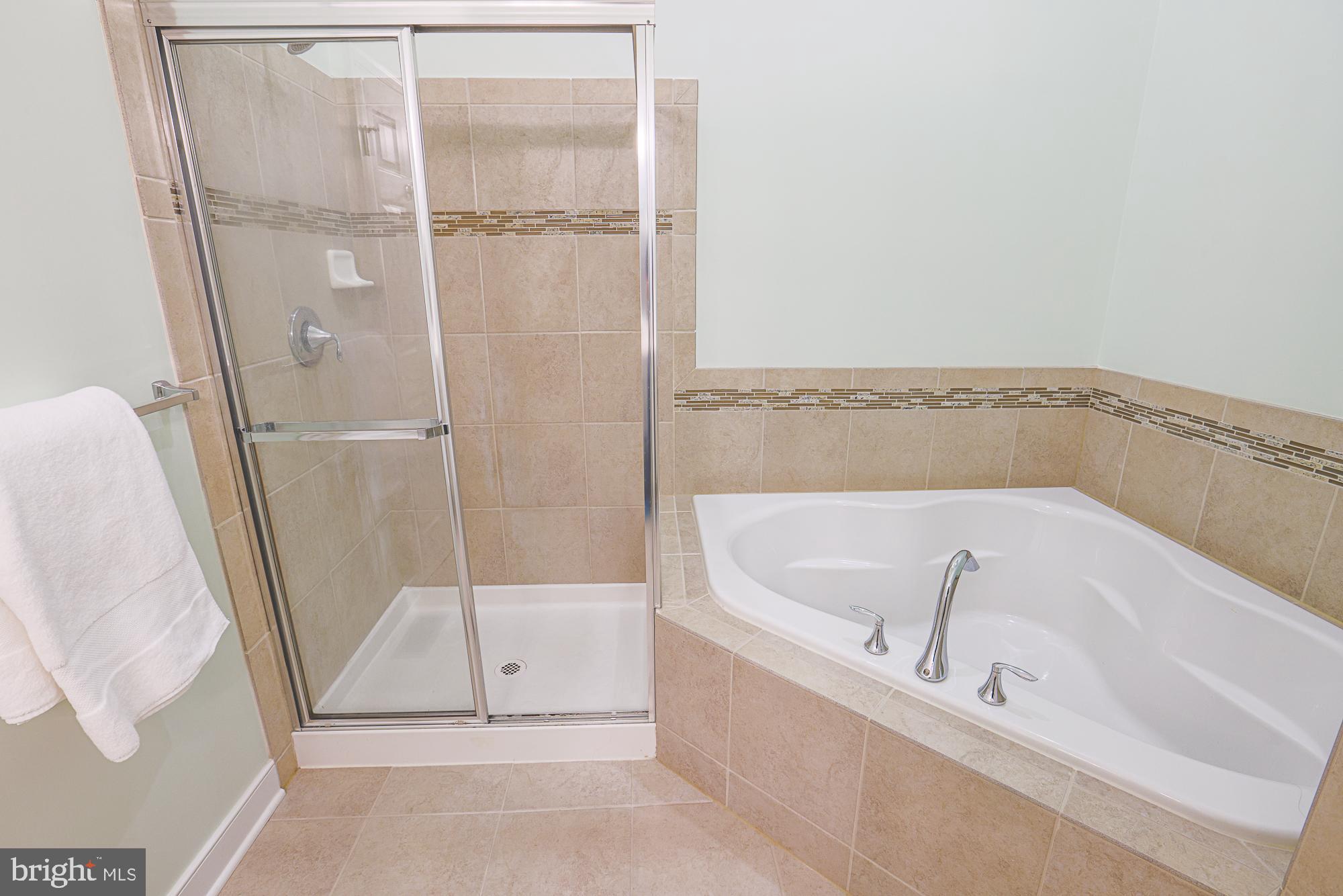 14034 Fox Hill Road Sparks Glencoe, MD 21152 - Photo 39 of 56 Walk-in shower