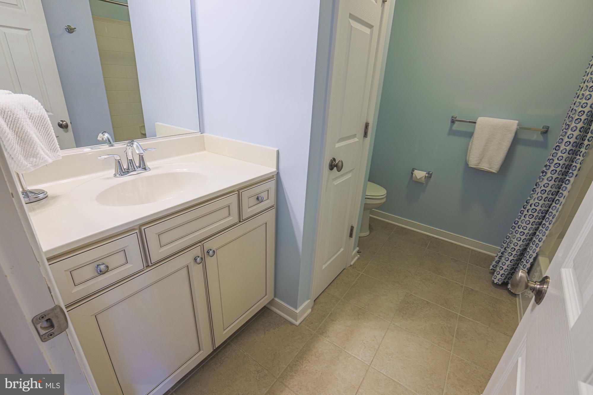 14034 Fox Hill Road Sparks Glencoe, MD 21152 - Photo 44 of 56 Hall bath linen closet with ample storage.