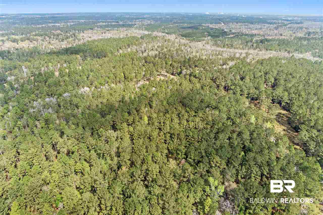 220 B Creax Road Axis, AL 36505 - Photo 49 of 49