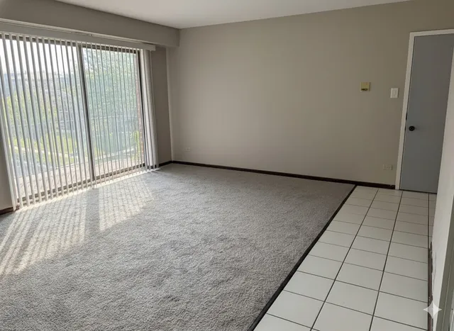 $1,550 | 16622 Theresa Lane, Unit 302, Tinley Park, IL 60477