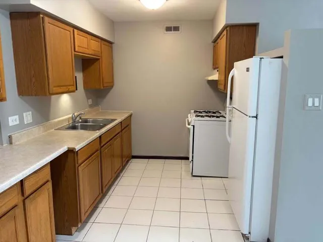 $1,550 | 16622 Theresa Lane, Unit 302, Tinley Park, IL 60477