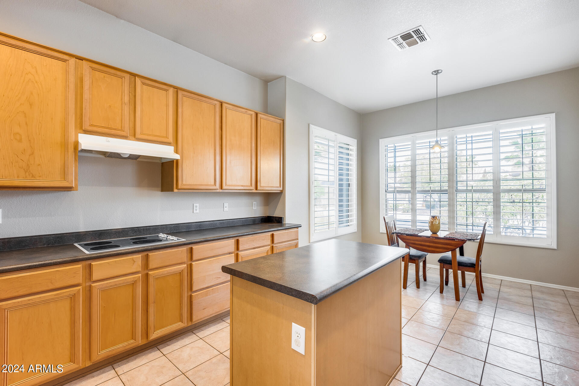 11418 South Santa Fe Lane Goodyear, AZ 85338 - Photo 13 of 46 12