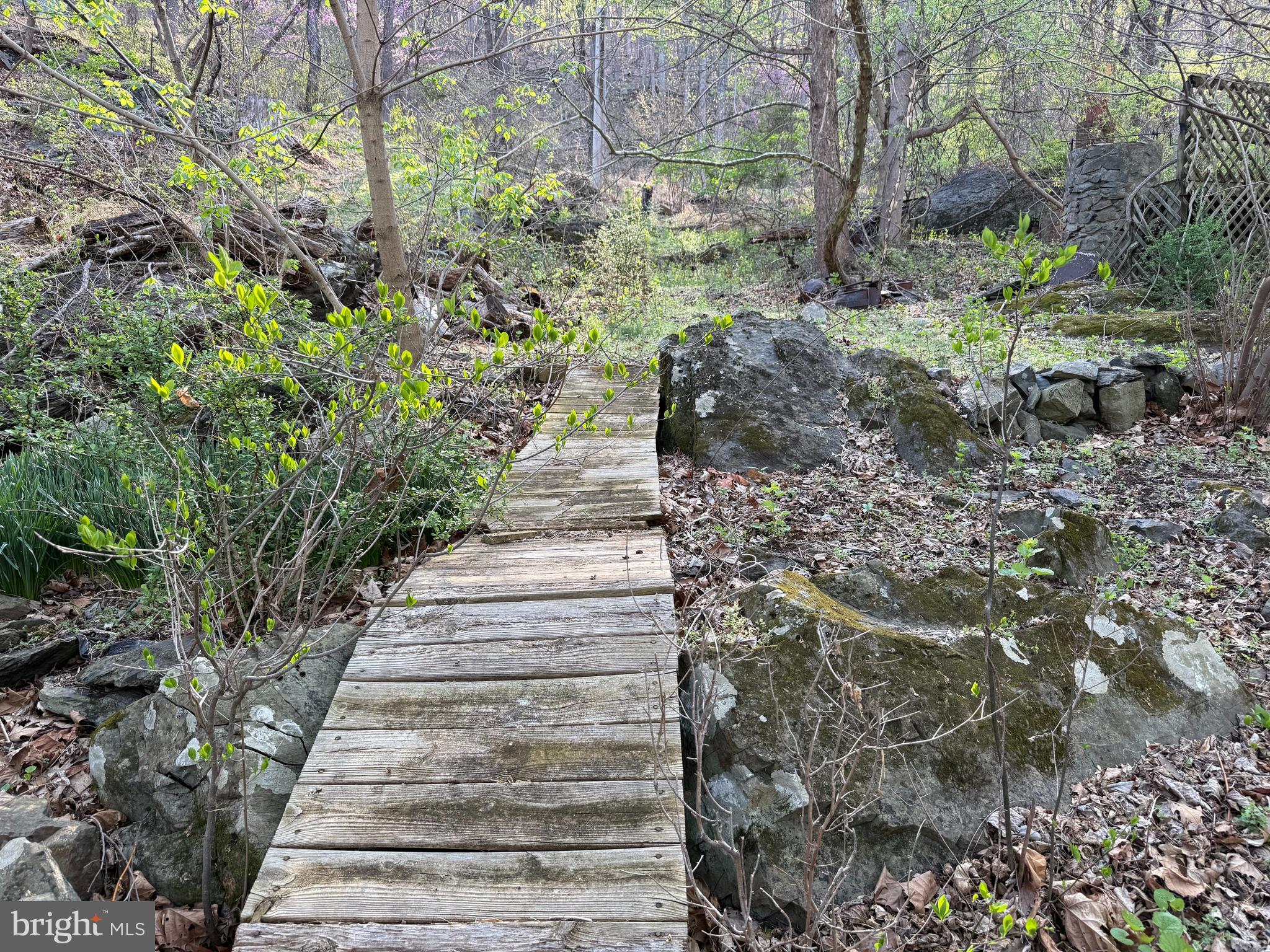 Lot 1-9 Dragons Road Linden, VA 22642 - Photo 2 of 10 a view of stairs with flower plants