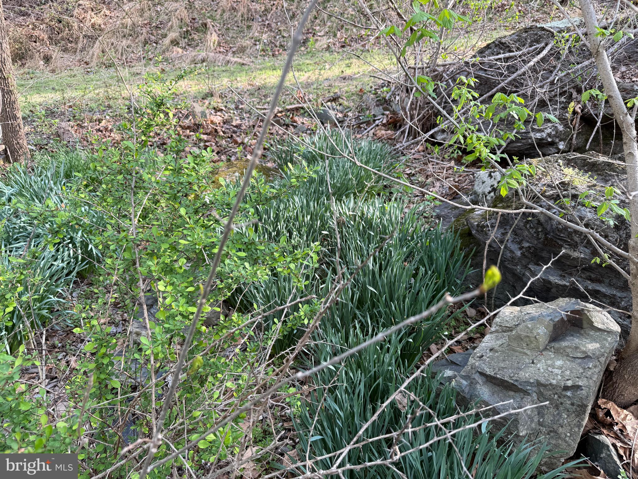 Lot 1-9 Dragons Road Linden, VA 22642 - Photo 6 of 10 a backyard of a house with lots of green space